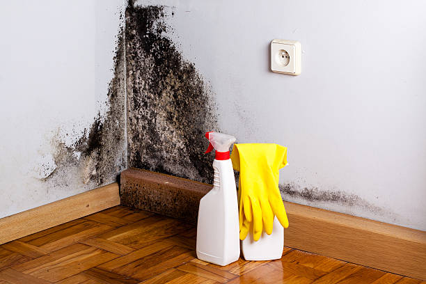 Water damage restoration experts in Park Rapids, MN